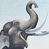 blog_icon_elephant3.jpg